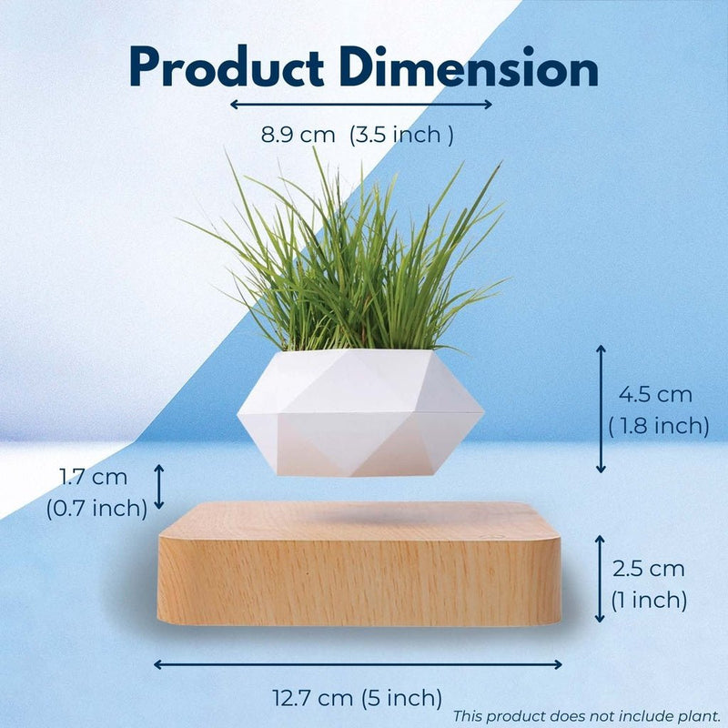 Levitating Plant Pot - Light Wood Base - Decor Delight Aus