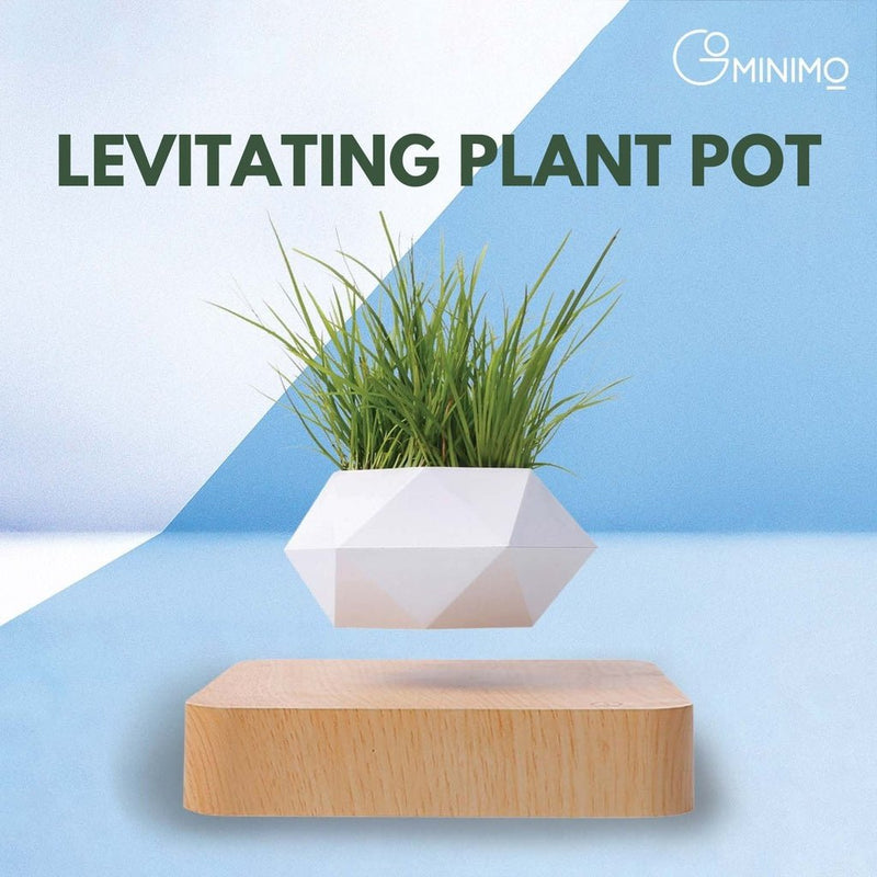 Levitating Plant Pot - Light Wood Base - Decor Delight Aus