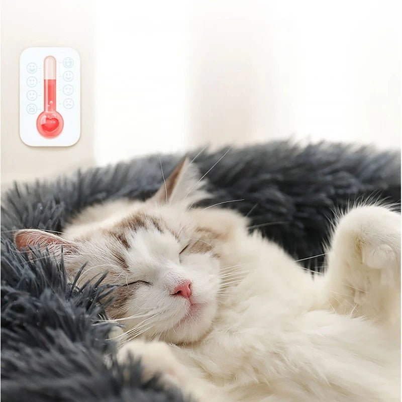 XXL - 80cm Dark Gray PawfectFriend Dog Pet Cat Calming Bed Plush Beds Large Fluffy Donut Comfy Cushion Puppy Mat - Decor Delight Aus